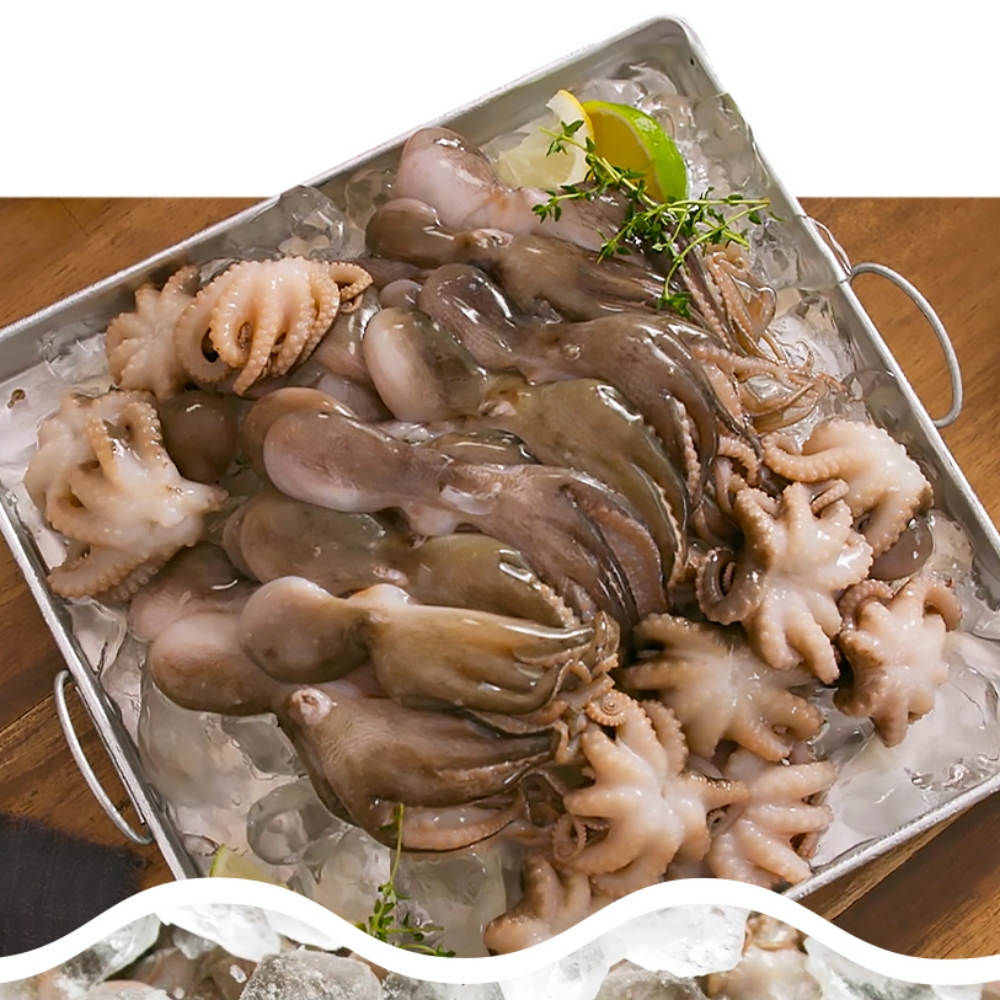 이마시야 자연산 손질 쭈꾸미 105마리 생물 냉동쭈꾸미 주꾸미 - 상세 이미지 3
