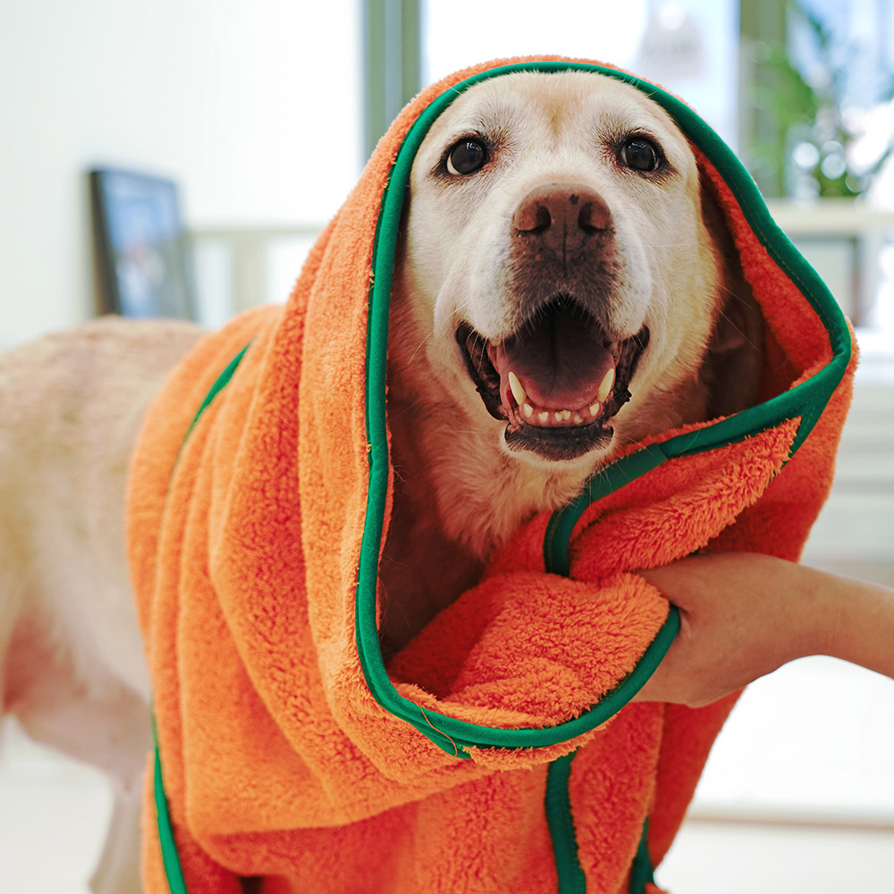 바비온 초극세사 수건 강아지 고양이 포켓 당근 펫타올 오렌지, L - 상품 이미지