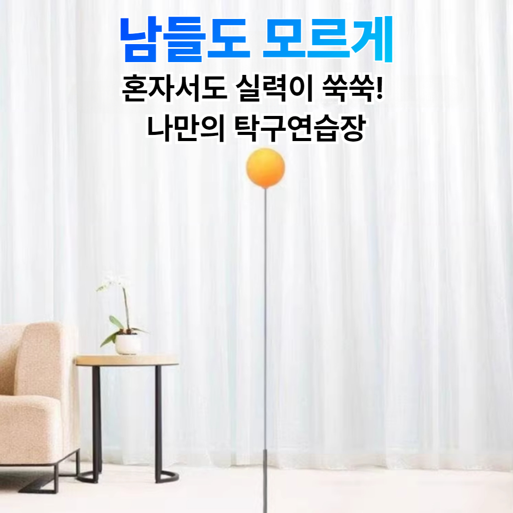 리얼타격 나홀로 탁구 연습기 다이어트 홈트 수행평가 상품 이미지