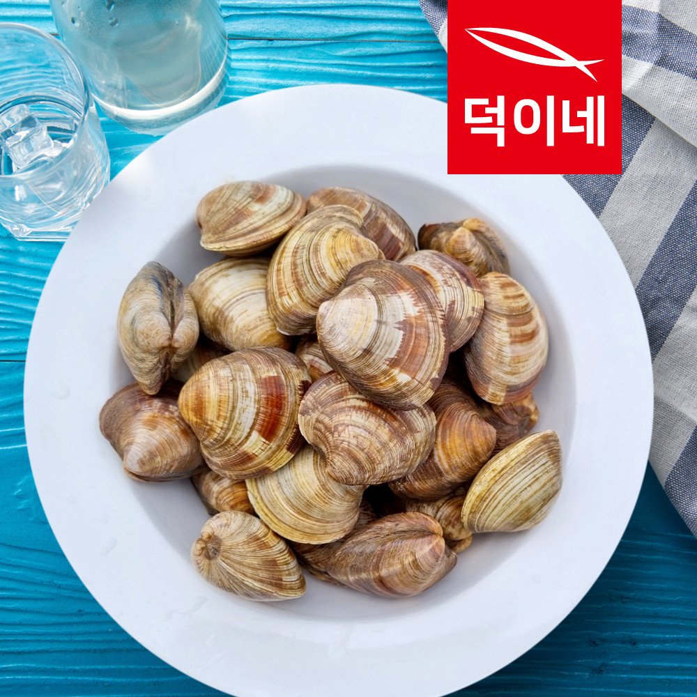 통영할매 백생합 백합 상합 백상합 1kg - 메인 이미지