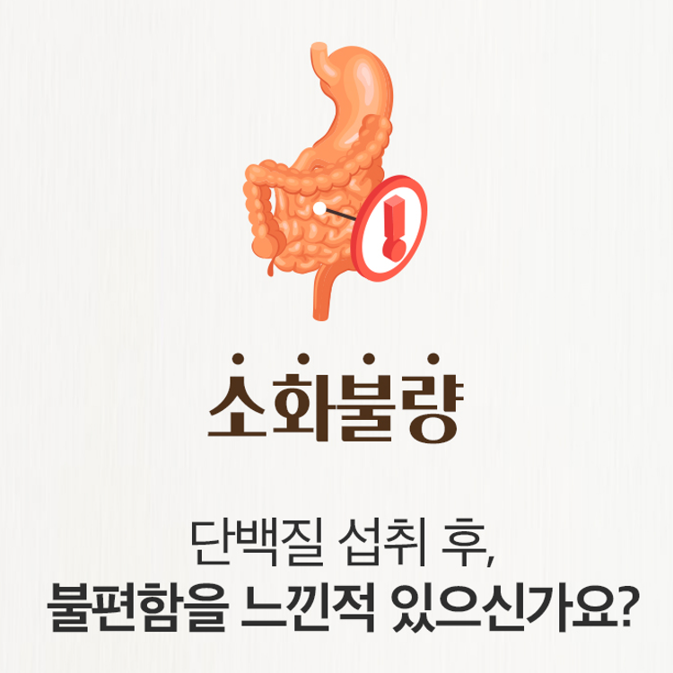 언더부룩 곡물효소 단백질쉐이크 소화 잘되는 식물성 단백질 건강 한끼 클린라벨 - 상세 이미지 5