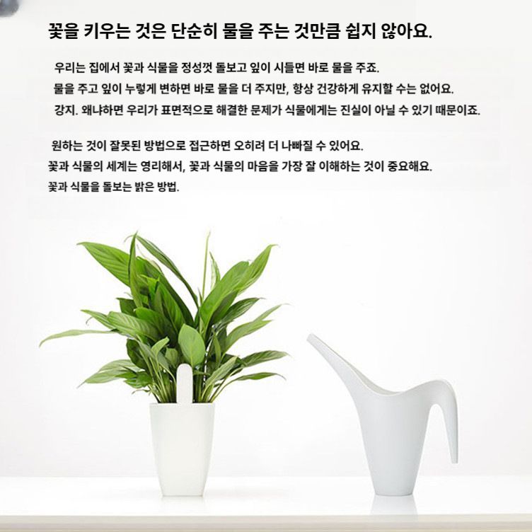 샤오미 미지아 스마트 온도 습도 센서 모니터링 감지기 재배 토양 모니터 - 상세 이미지 4