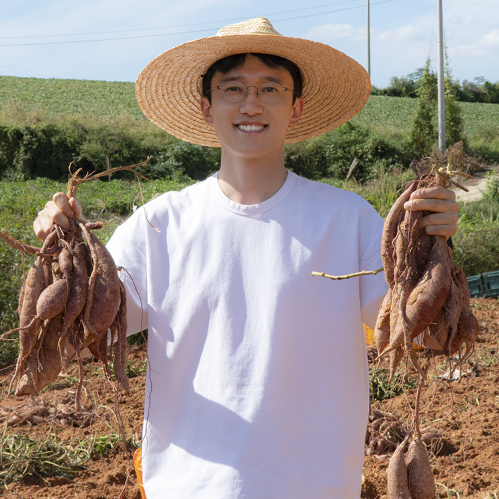 무농약 고구마 영암 꿀고구마 밤고구마 세척 베니하루카 3kg 5kg