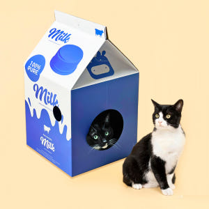 우유 밀크팩 숨숨집 캣 하우스 고양이 상자 스크래쳐 그린다방 솔직 후기 | 실제 사용자 리뷰 총정리 - 상품 이미지 2