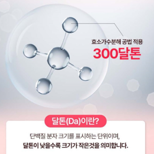 락토테미 초저분자 어린 콜라겐 펩타이드 비오틴 정 60정 1개월 300달톤 피쉬콜라겐 - 상세 이미지 5