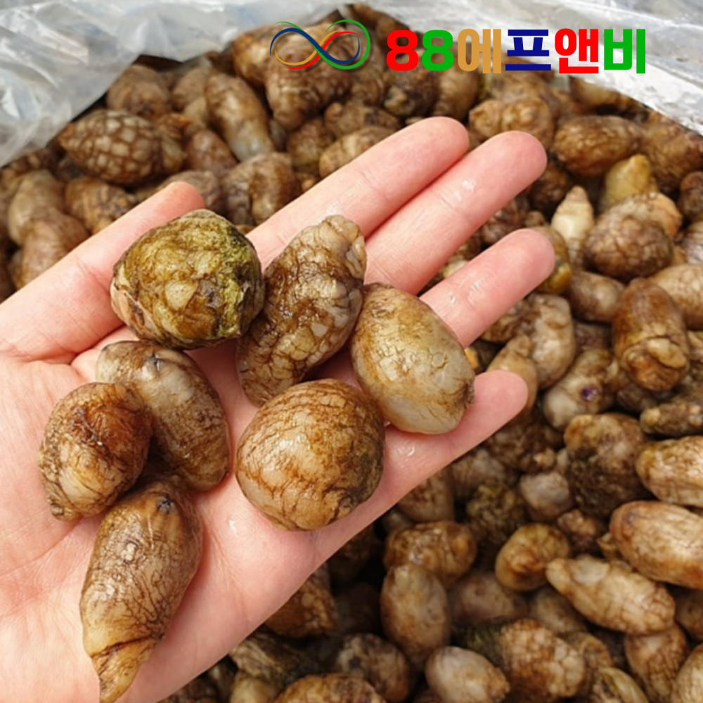 국내산 냉동 오만둥이 5KG,벌크 냉동 미더덕 오만디 업소용 대용량 아구찜 해물찜 - 상세 이미지 2