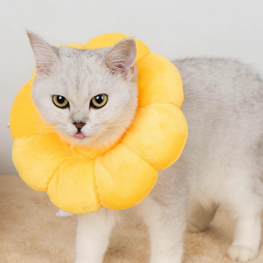 옐로우xs 도넛 해바라기넥카라 고양이중성화넥카라