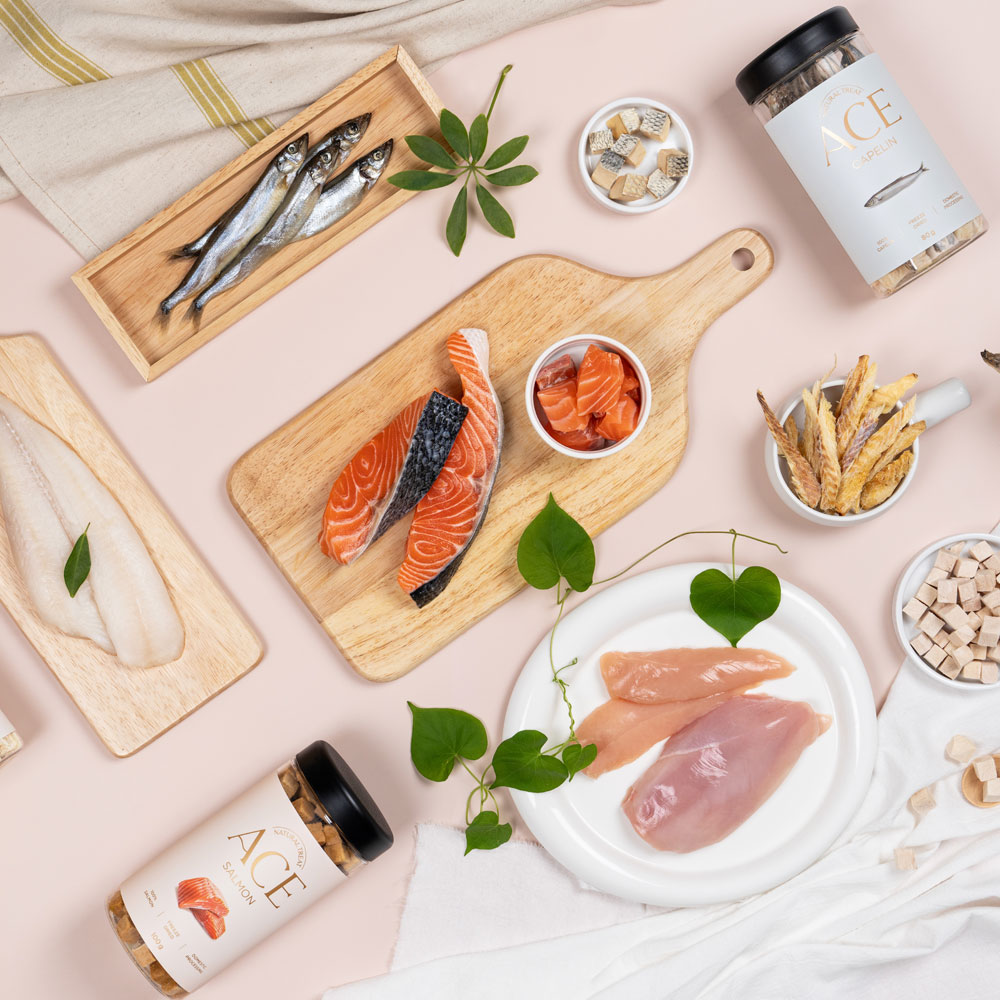 에이스 연어껍질트릿 고양이 강아지 동결건조 간식 이미지 2