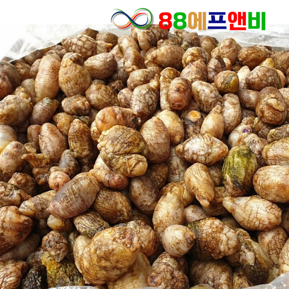 국내산 냉동 오만둥이 10KG 벌크 냉동 미더덕 오만디 업소용 대용량 아구찜 해물찜