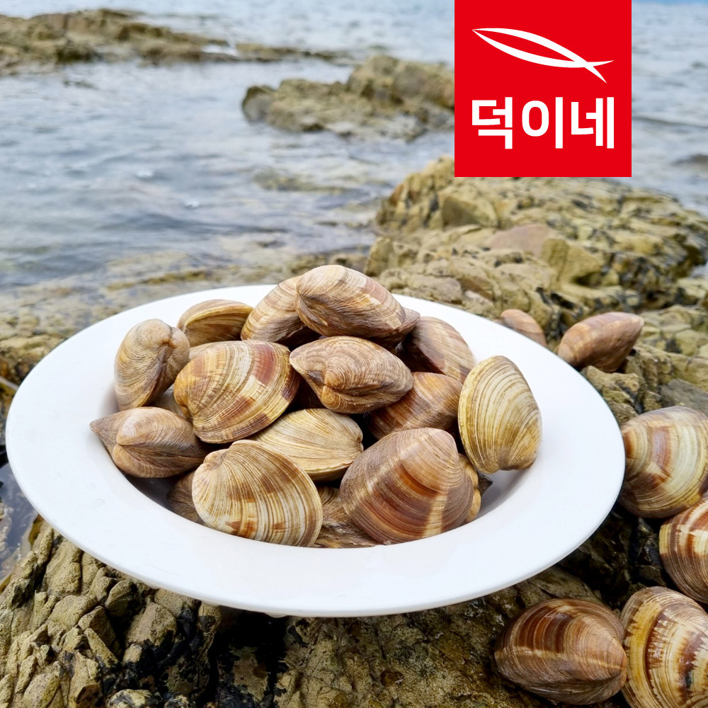 통영할매 백생합 백합 상합 백상합 1kg - 상세 이미지 5