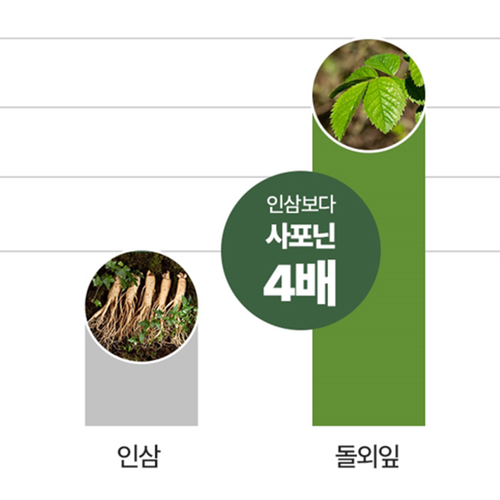 웰빙곳간 돌외잎 추출물 정 120정 3통 12개월 AMPK효소활성 내장 체 지방 분해 컷 - 상세 이미지 3