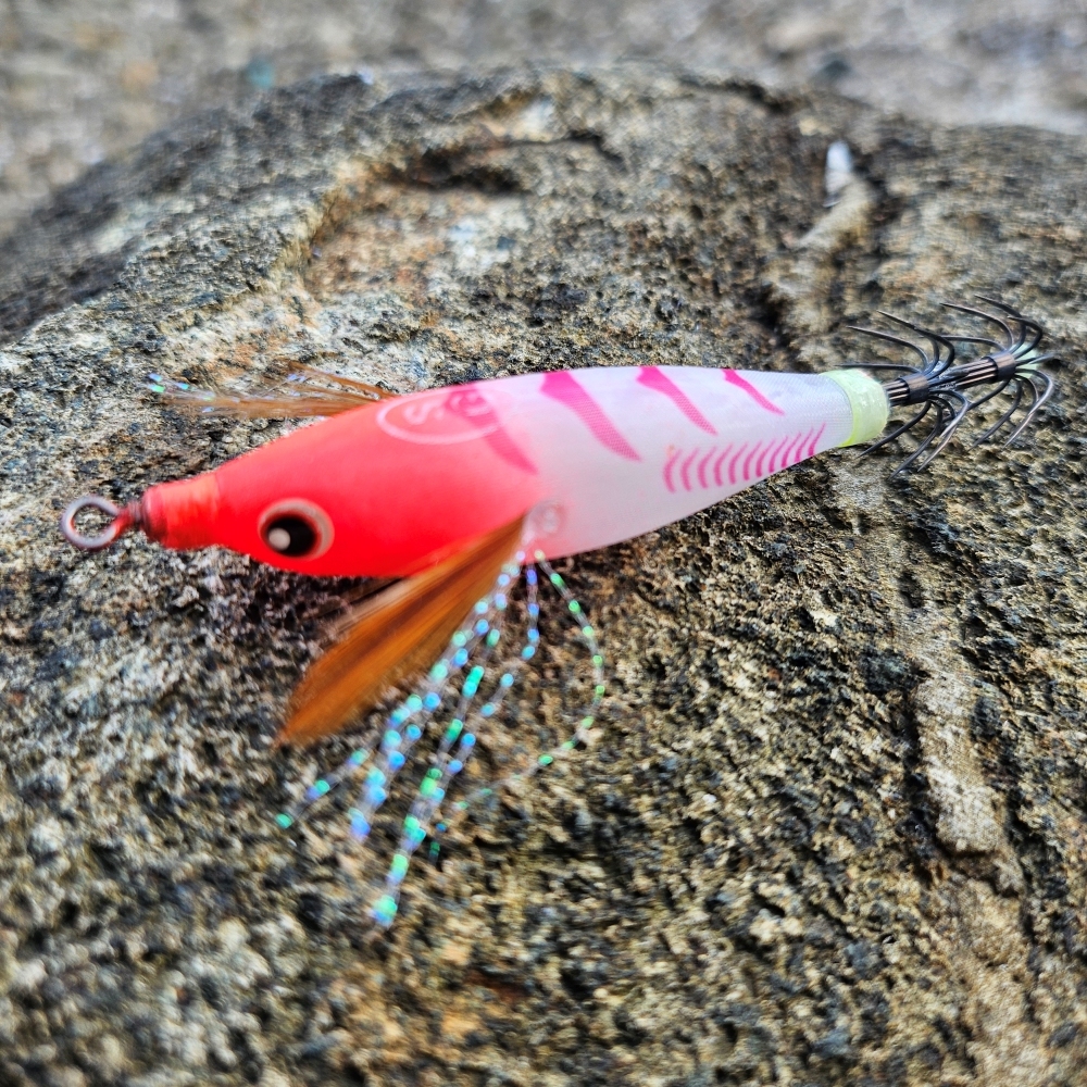 백경 쉬폰 클리어에기 55mm 쭈꾸미 갑오징어에기 SG-537 - 상세 이미지 2