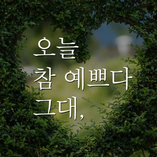 카페홈 감성레터링스티커 좋은글귀 현관문 벽 거울 유리 인테리어데칼 스몰 1번