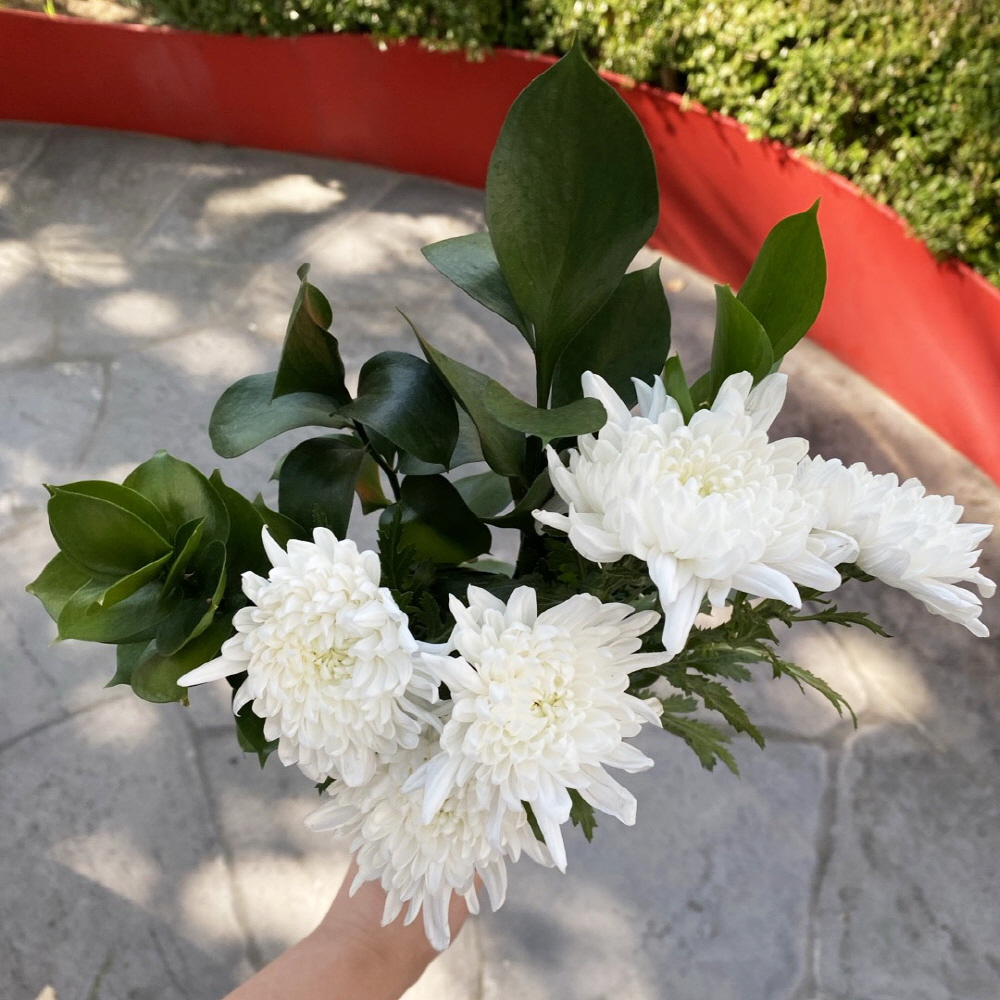 대국 생화 흰국화 추모 성묘꽃 납골당 꽃다발 생화택배 - 상세 이미지 5