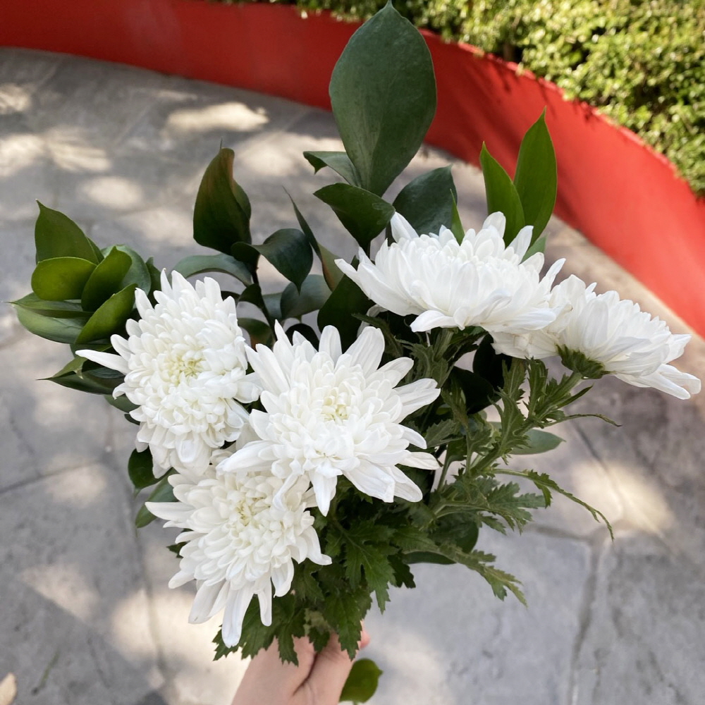 대국 생화 흰국화 추모 성묘꽃 납골당 꽃다발 생화택배 이미지 6