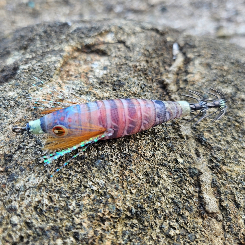 백경 쉬폰 클리어에기 55mm 쭈꾸미 갑오징어에기 SG-537 - 상세 이미지 5