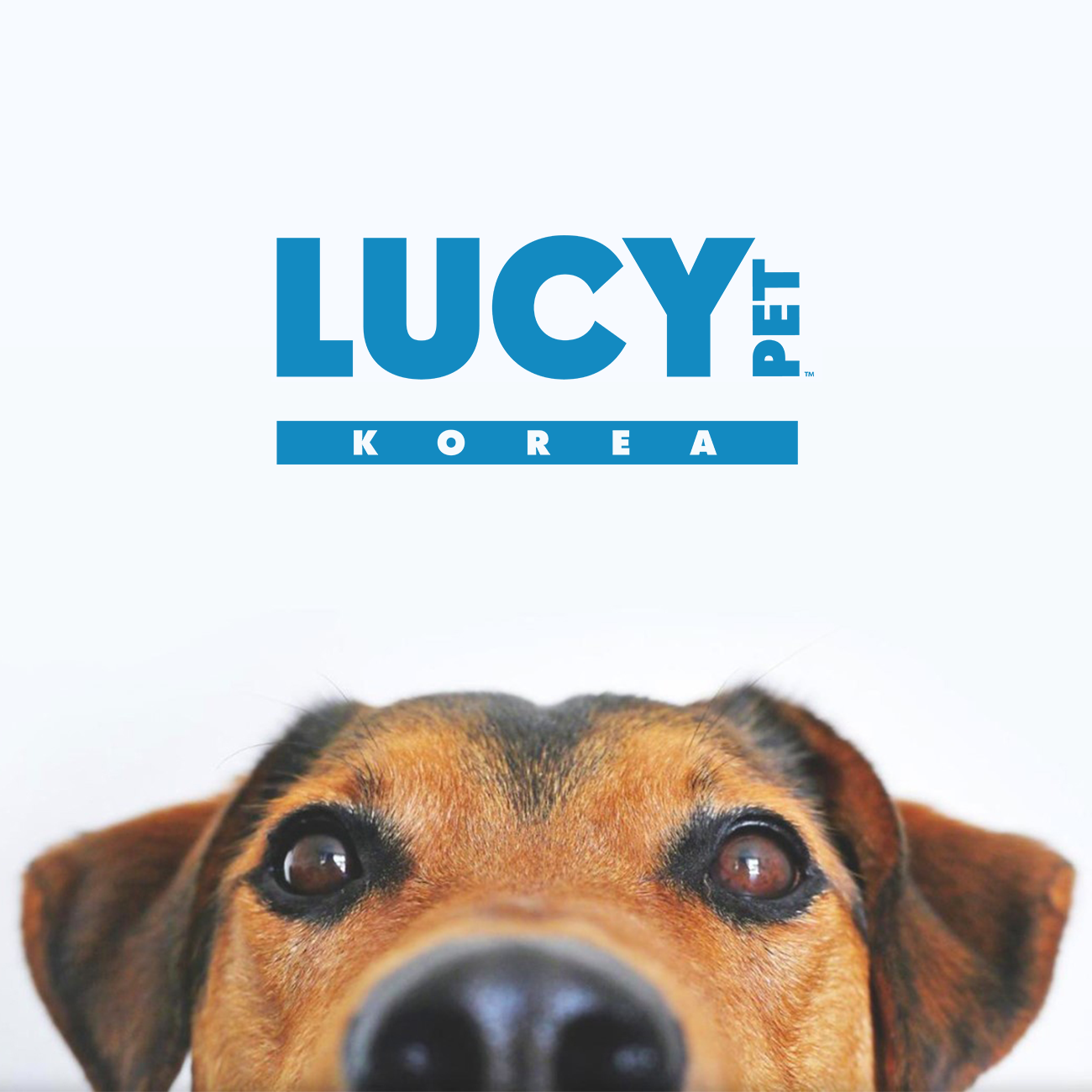 루시펫 LUCY PET 스토어 로고