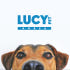 루시펫 LUCY PET 로고