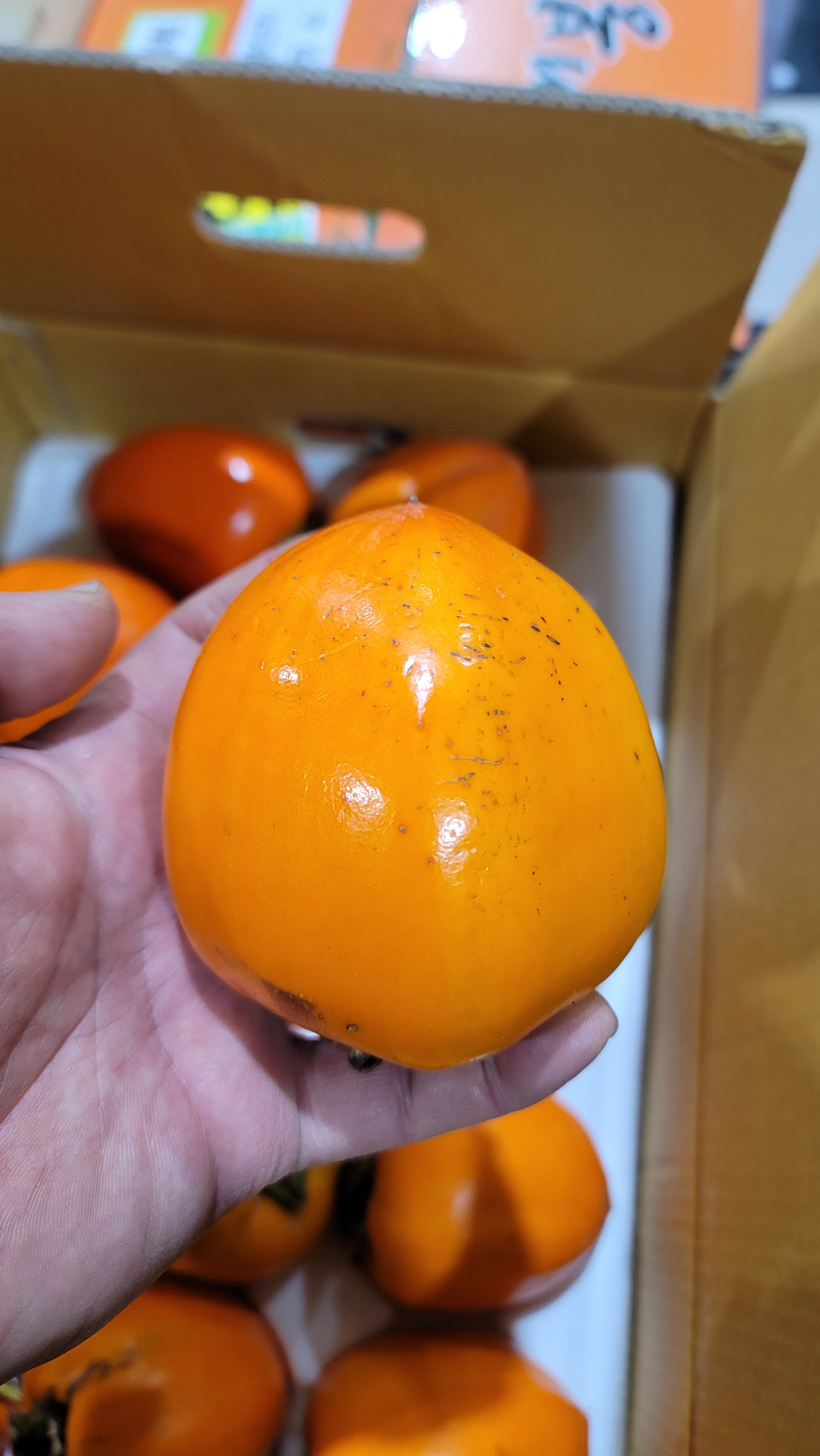 촉촉달콤 대봉감 홍시 곶감용 5kg 1박스 - 상세 이미지 4