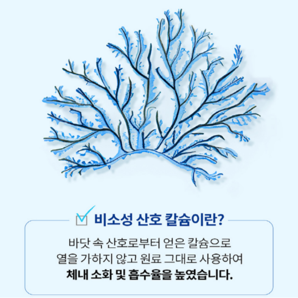 닥터브라이언 알작은 칼마디 칼슘 마그네슘 비타민D 아연 90캡슐, 3개 - 상세 이미지 5