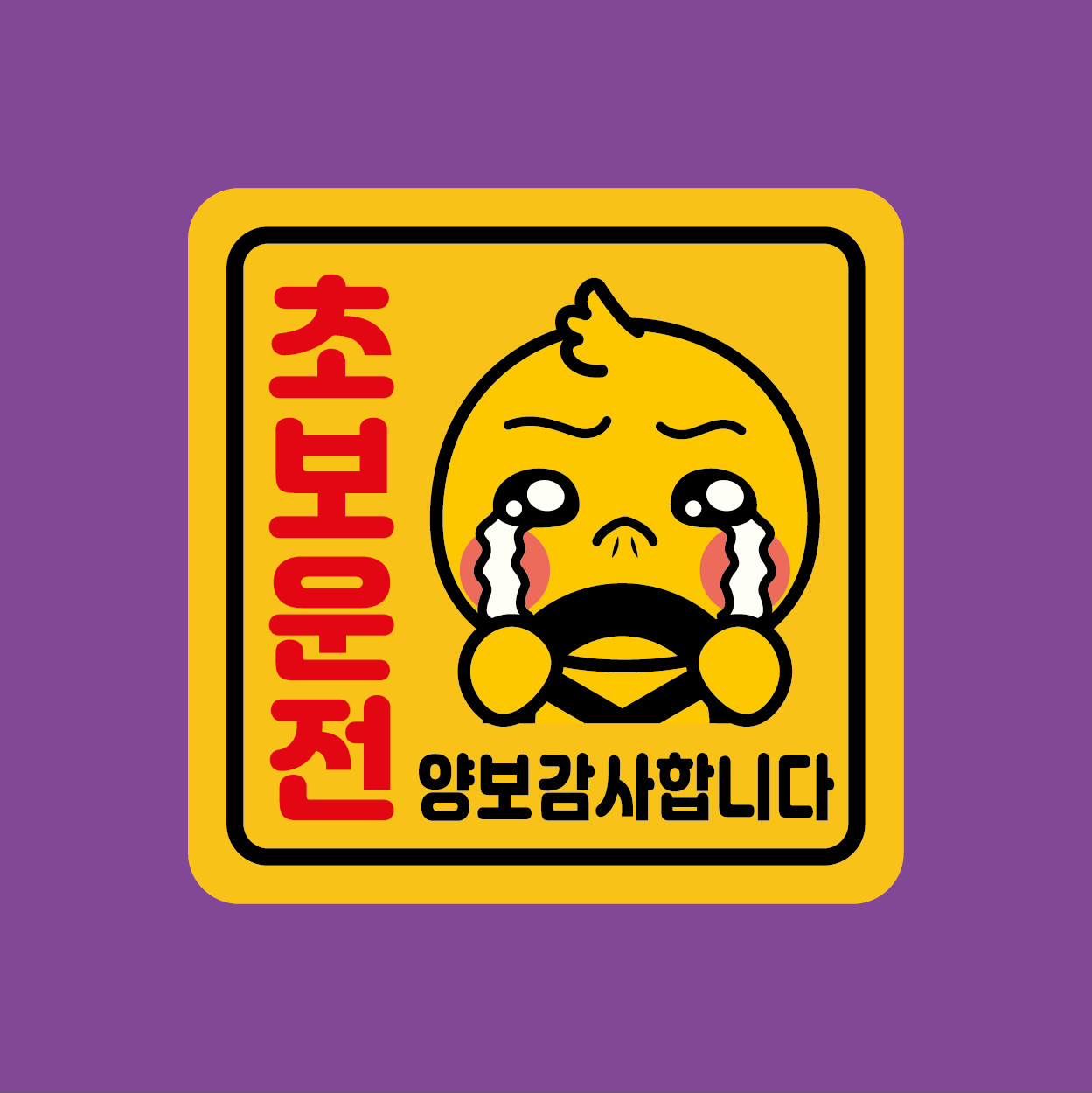 초보운전 스티커 자석 자동차 반사 정사각형 노랑 탈부착 A06 병아리