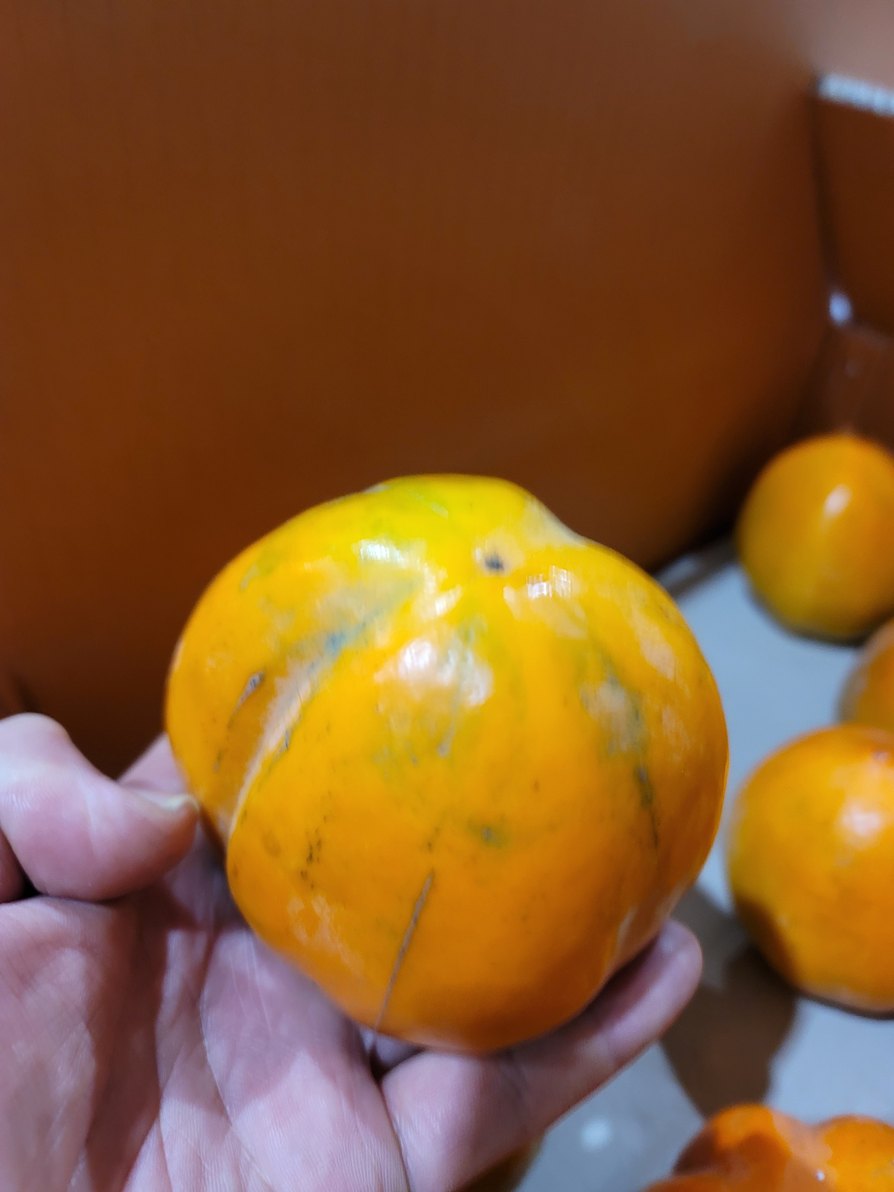 촉촉달콤 대봉감 홍시 곶감용 5kg 1박스 - 상세 이미지 5