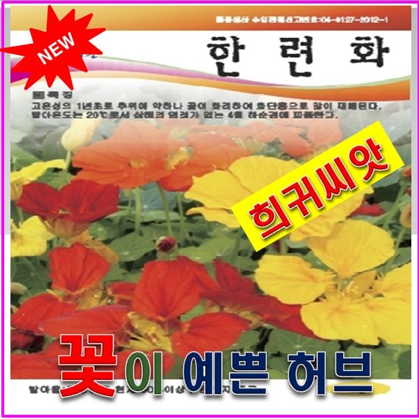  2025 최신 꽃씨몰 추천! 튤립·허브 씨앗 후기&비교