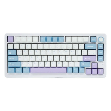 QSENN Q75 PBT 풀윤활 가스켓 유무선 기계식 키보드 블루퍼플 퍼플축 V1