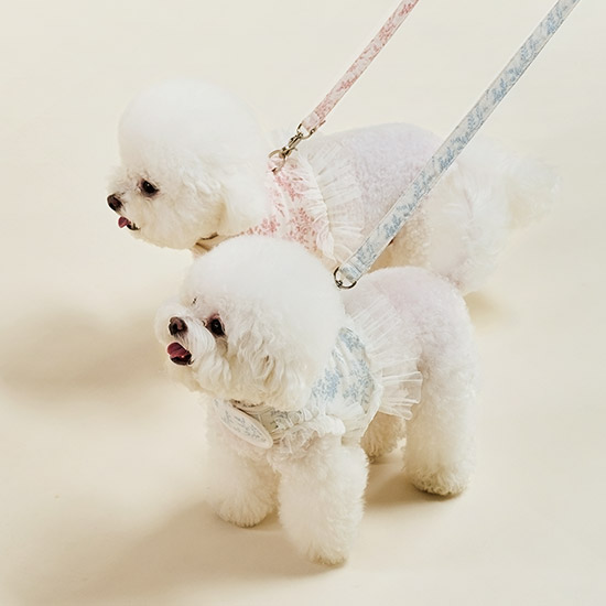 울리 에뜨왈 하네스 세트 하네스옷 강아지 가슴줄 솔직 후기 | 실제 사용자 리뷰 총정리 - 대표 이미지