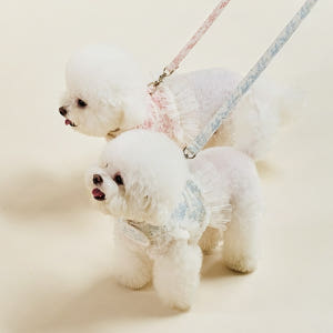 울리 에뜨왈 하네스 세트 하네스옷 강아지 가슴줄 솔직 후기 | 실제 사용자 리뷰 총정리 - 상품 이미지 1