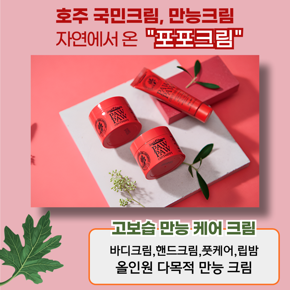 직수입 호주 레미디얼 포포크림 립밤 멀티밤 25ml, 5개 이미지 3