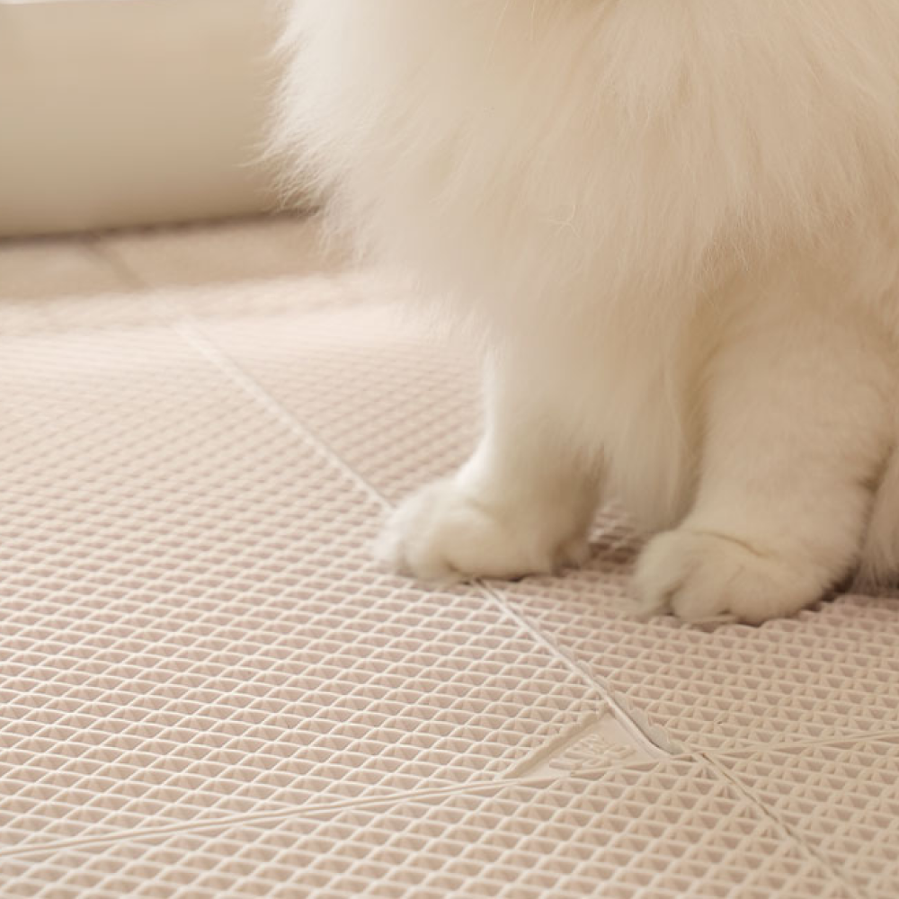 냥쌤 캐치 고양이 모래 매트 화장실 사막화방지 발판 패드 대형