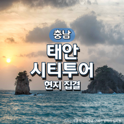 태안시티투어 여행(현지집결) : 그린데이투어