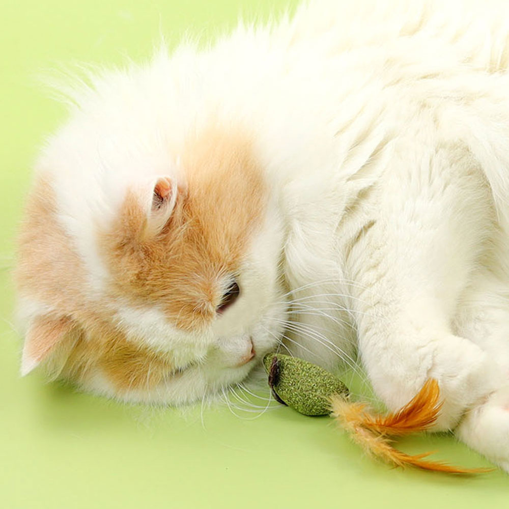 크레용펫 고양이 캣닢 캣닢볼 깃털팡팡 쥐 장난감 - 상세 이미지 4