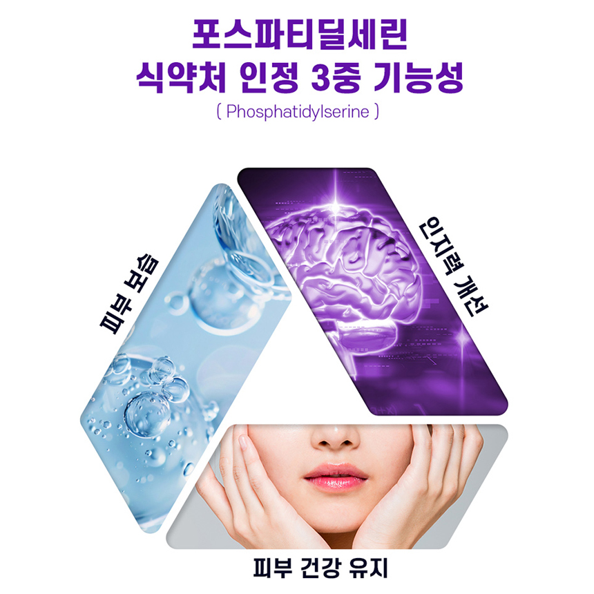 두뇌 인지력 기억력 케어 PS 포스파티딜세린 복합 기능성 징코 이미지 6