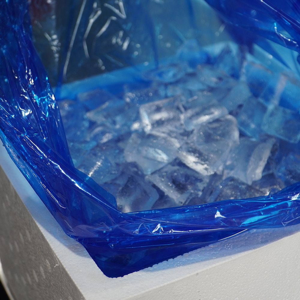 통영 홍가리비 세척 선별 비단 가리비 조개 구이 1kg, 1개