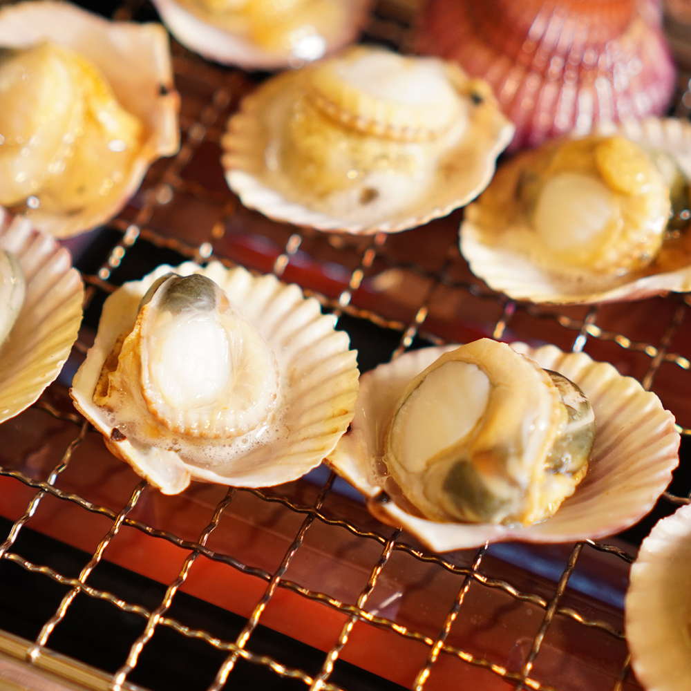 통영 홍가리비 세척 선별 비단 가리비 조개 구이 1kg, 1개