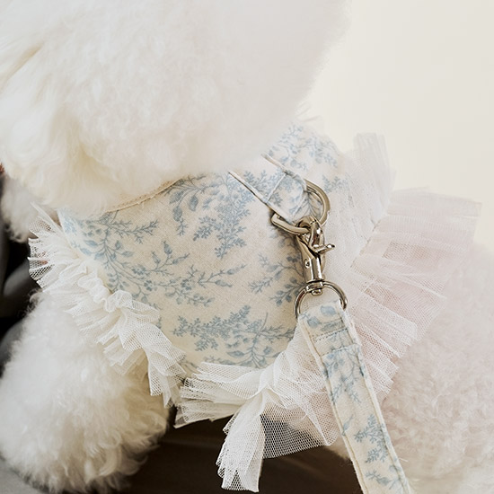 울리 에뜨왈 하네스 세트 하네스옷 강아지 가슴줄 이미지 2