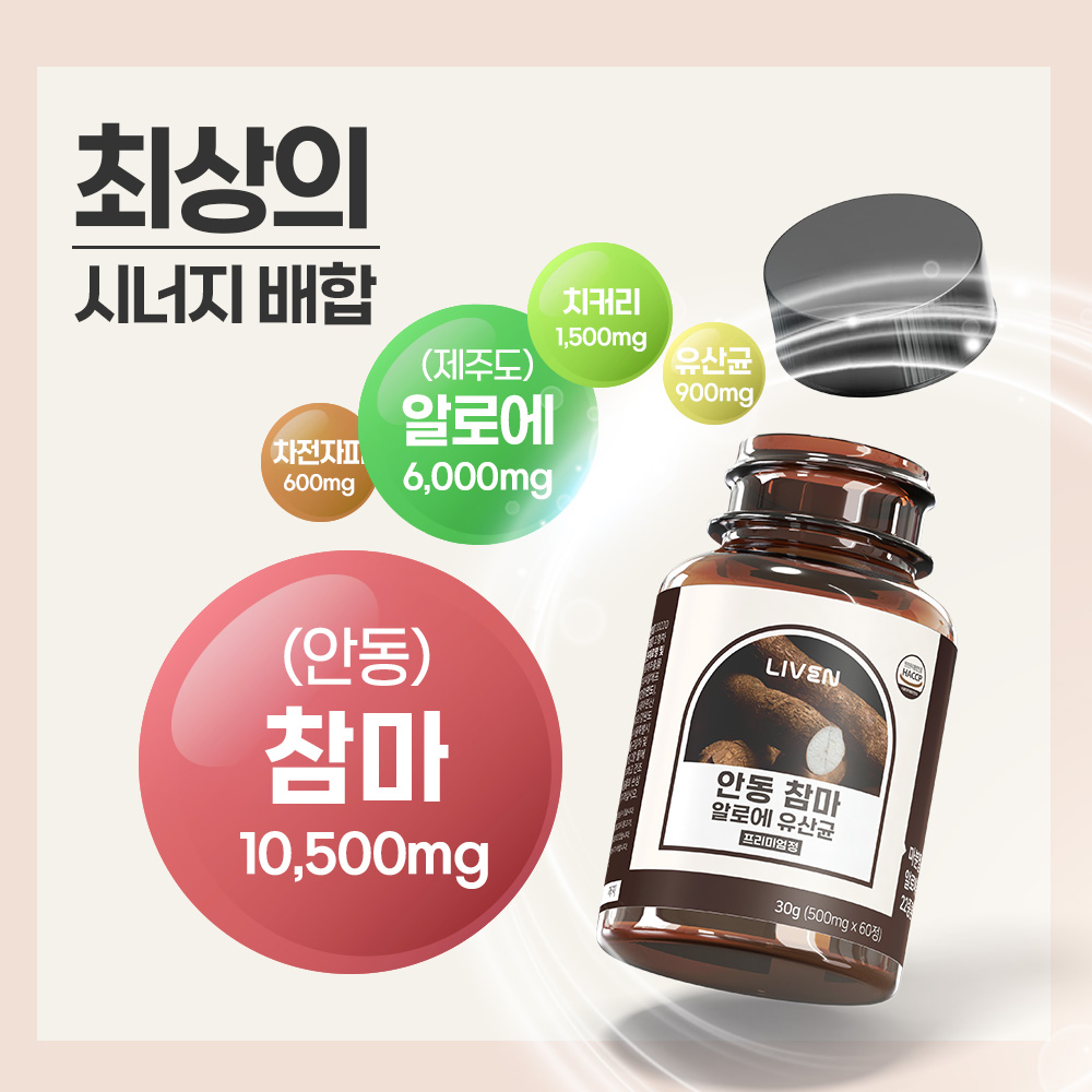 안동 참마 알로에 유산균 프리미엄정 60정 300g, 4개 - 상세 이미지 4
