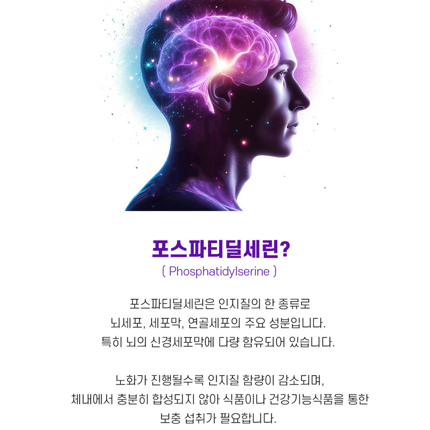 두뇌 인지력 기억력 케어 PS 포스파티딜세린 복합 기능성 징코 이미지 7