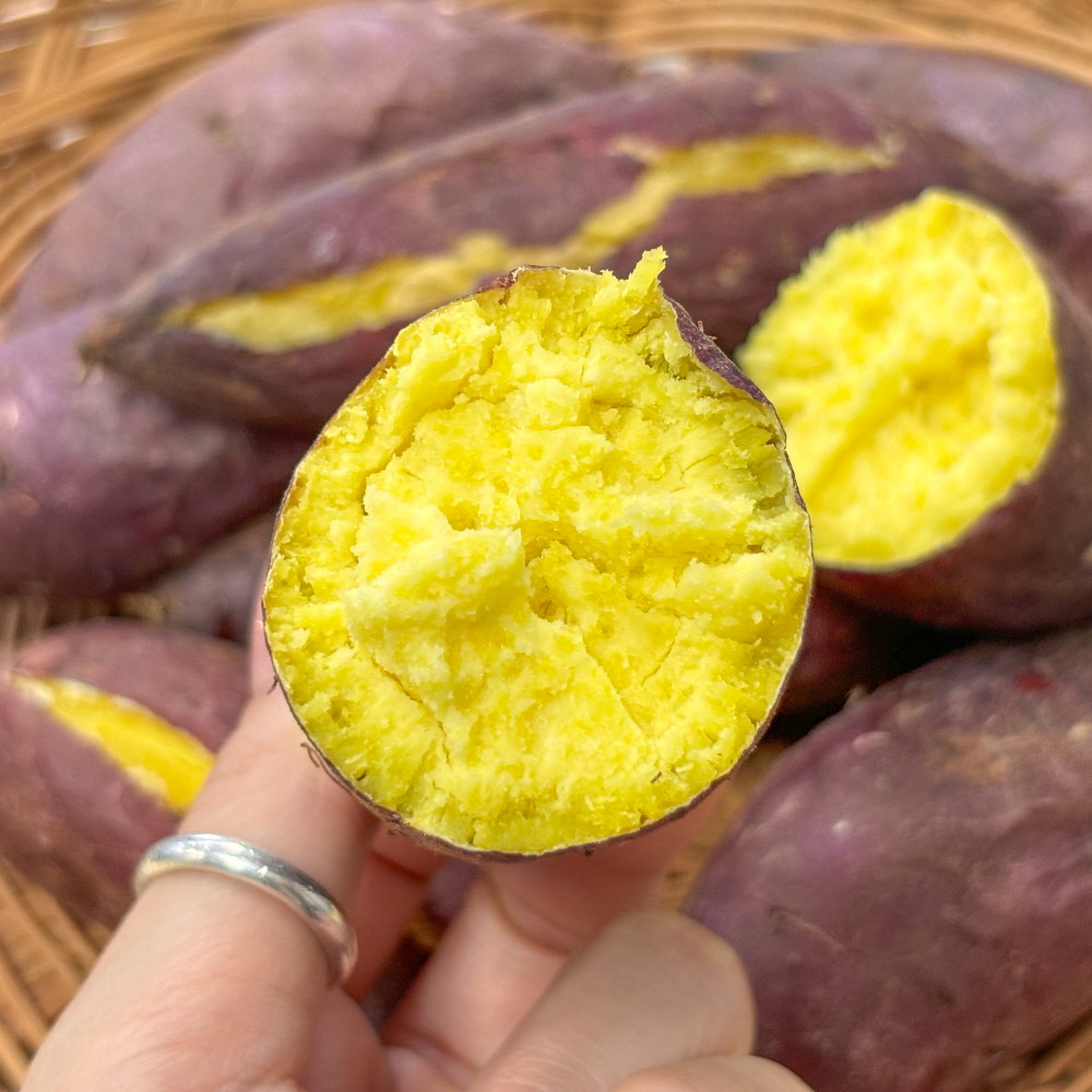 2025 햇고구마 싸리재마을 밤고구마 5kg(꼬마,보통) 퍽퍽한 밤맛 고구마 - 메인 이미지