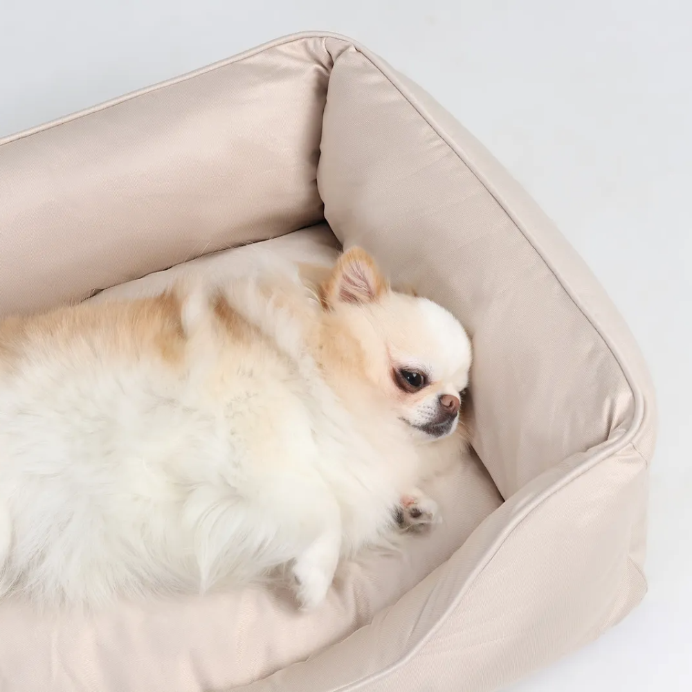 캣튜디오 강아지 방석 고양이 쿠션 커버분리 사계절 방석 M