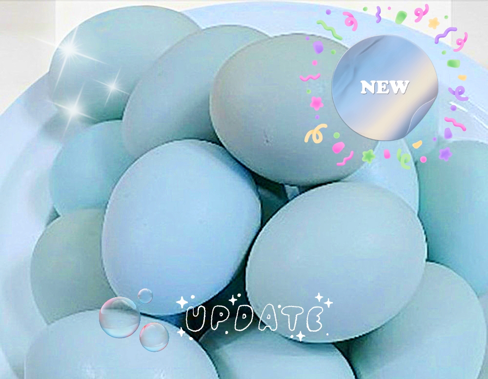 (신제품)난각번호1번 동물복지 자연방사유정란 청란 30구 청계알 청계란 청계부화란 종란 달걀