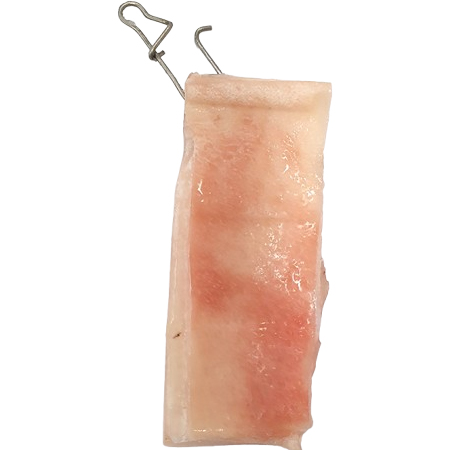 타스코 간단하게 걸어쓰는 원터치 돼지 비계 5입 갈치 풀치 문어 주꾸미 갑오징어 텐야