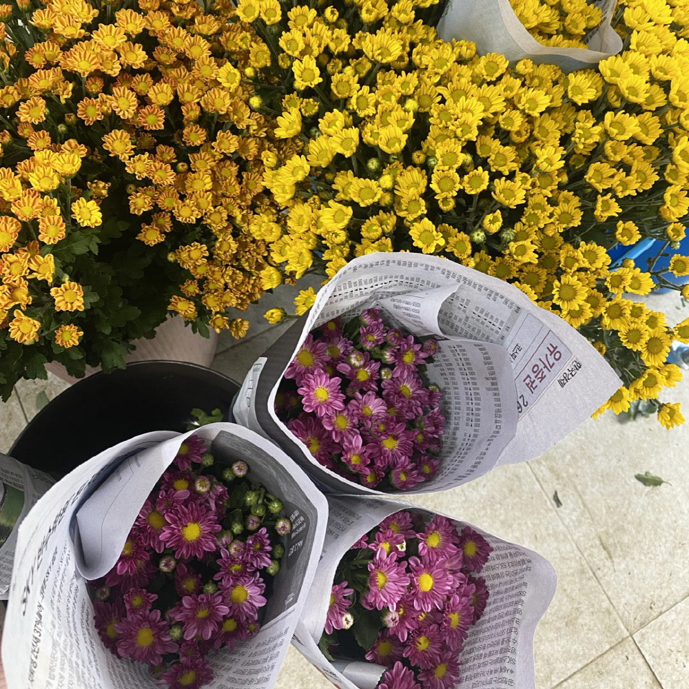 소국 생화 국화 가을꽃 꽃배달 싼곳 양재꽃시장 꽃배송 상품 이미지