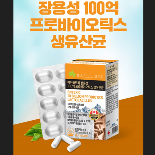 메이플트리 캐나다 장용성 프로바이오틱스 100억 유산균 60캡슐 3박스 6개월 장건강 - 상세 이미지 2