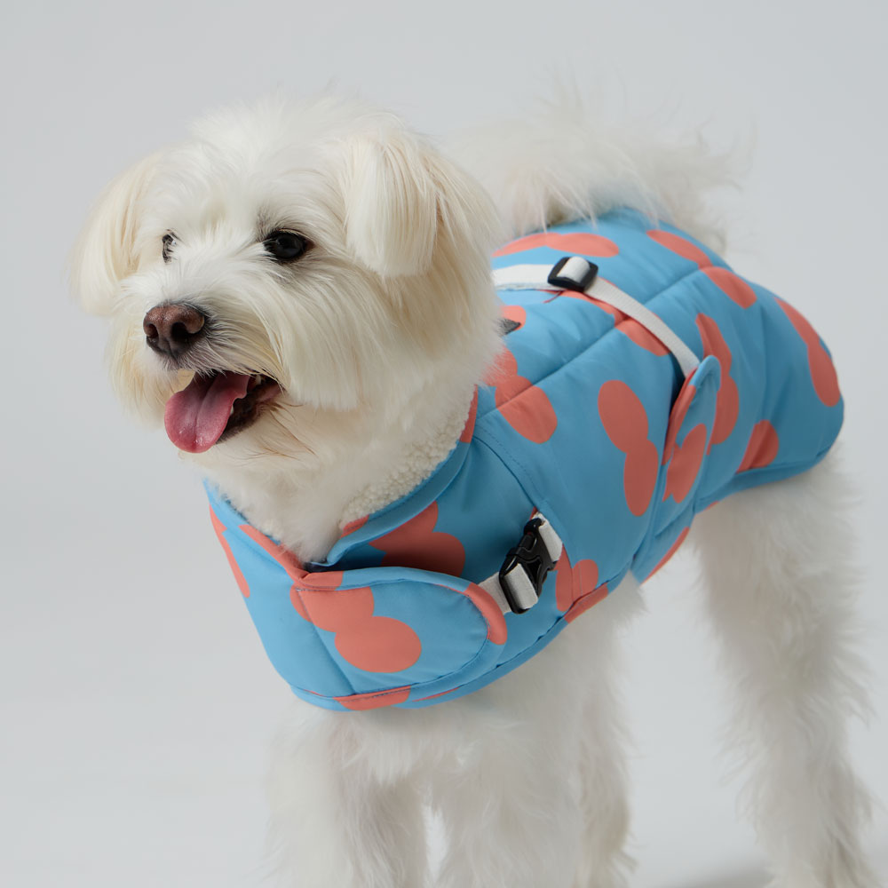 일로 스노이 패딩 강아지 소형견 중형견 대형견 발열 블랙 M