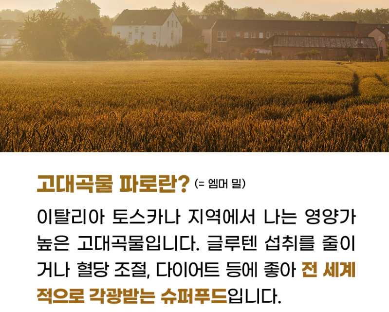그레이온 파로 파로 쌀 곡물 카무트 효소 밥 팔호 쌀 밀 1kg - 상세 이미지 3