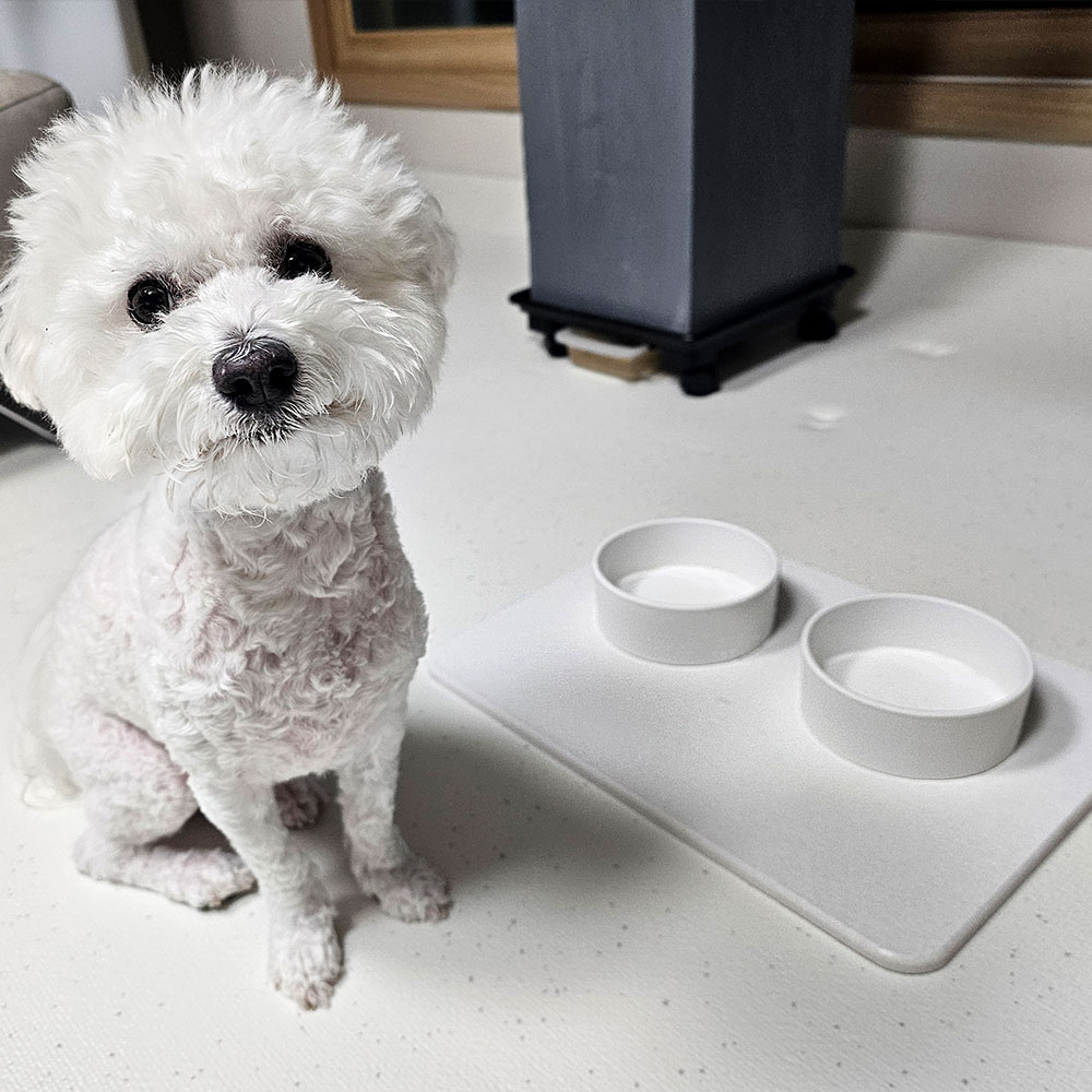마르다 강아지 식기매트 모던 규조토 매트 고양이 반려동물 펫 물그릇 패드 식기 받침대