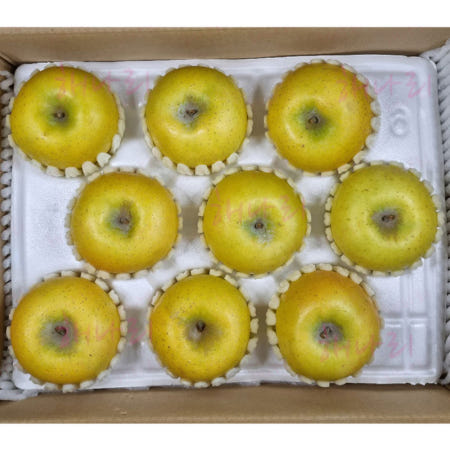 경북 영주 해나리 시나노 골드사과 2.5Kg 10-16과내외/노란사과 황금사과 꿀사과